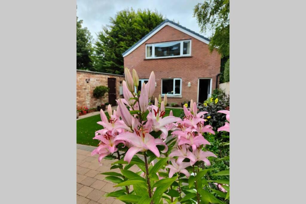 Bt 9 Granny Flat & Walled Garden Белфаст Екстер'єр фото